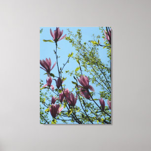 Frühling lila magnolische Blume in blauem Himmel. Leinwanddruck