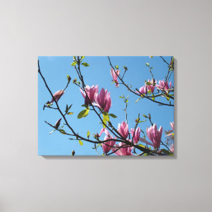 Frühling lila magnolische Blume in blauem Himmel Leinwanddruck