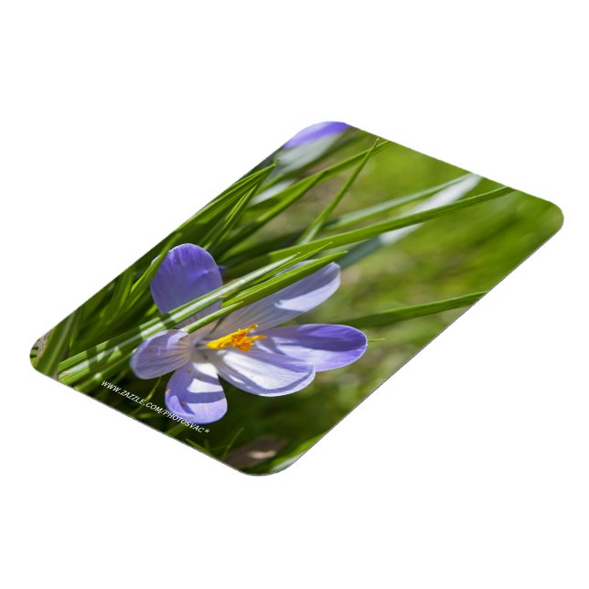 Frühling Magnet (Linke Seite)
