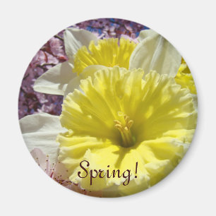 Frühling! Magnetgeschenke Helle Farbe Narzissen Bl Magnet