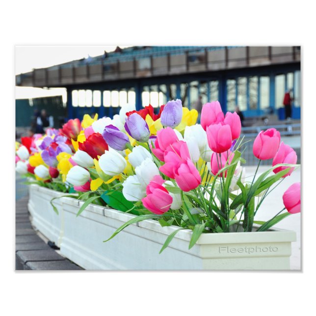 Frühling nach vorn fotodruck (Vorne)