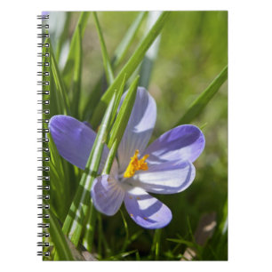 Frühling Notizblock
