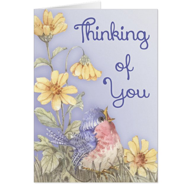 Frühling Robin (Vorne)