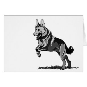 Frühling Schäferhund