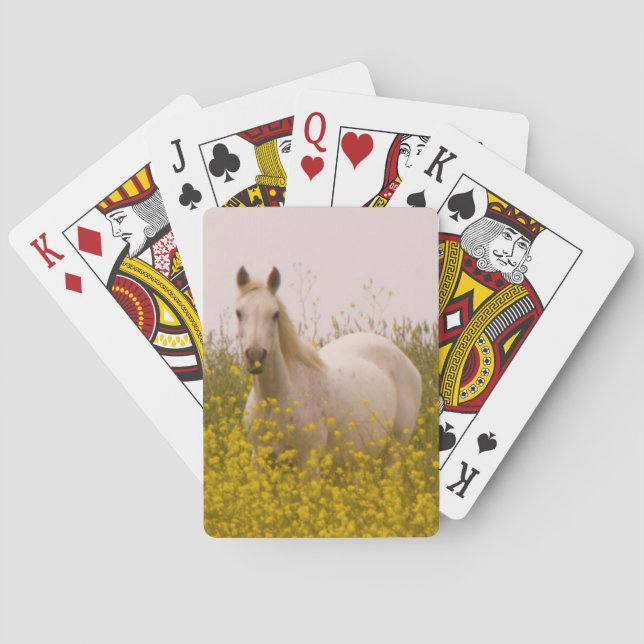 Frühling Spielkarten (Rückseite)