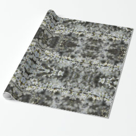 Frühling, Weißblüten Foto , Geschenkpapier