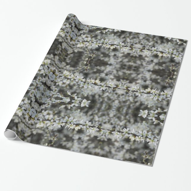 Frühling, Weißblüten Foto , Geschenkpapier (Ungerollt)