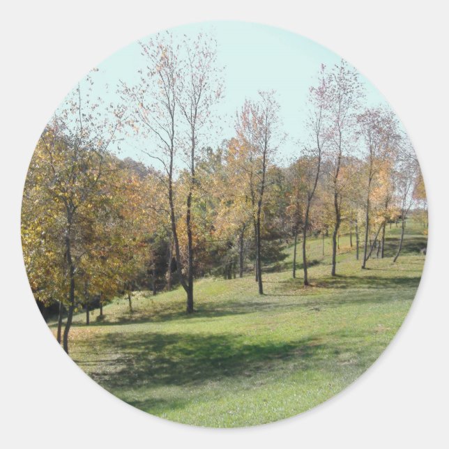 Frühling wie Bäume Runder Aufkleber (Vorderseite)