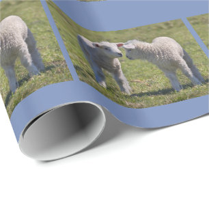 Frühling wirft Packpapier