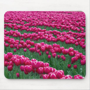 Frühlingblühende Tulpenzwiebeln im Garten zeigen i Mousepad