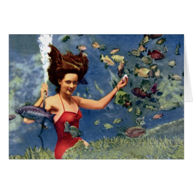 Frühlinge St. Petersburg-Floridas Weekiwachee (Vorderseite (Horizontal))