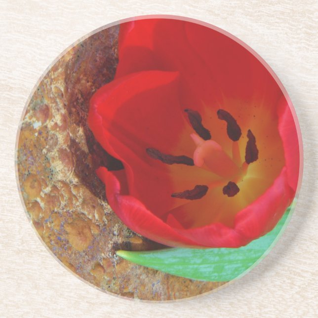 Frühlinggelb und Roter Tulip Sandstein Untersetzer (Vorne)