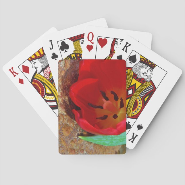 Frühlinggelb und Roter Tulip Spielkarten (Rückseite)