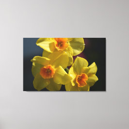 Frühlinggelbe Daffodil Blume Foto Art. Leinwanddruck