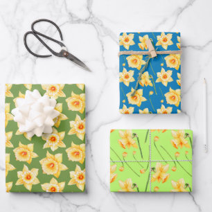 Frühlinggelbe Daffodin Blumengrün Blau Geschenkpapier Set