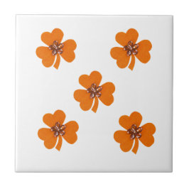 Frühlingorange, orangefarbene Nischen für die Küch Fliese