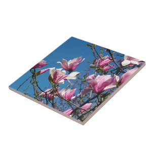 Frühlingrosa magnolische Blume am Himmel Fliese