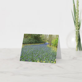 Frühlings-Blumen - Fluss der Hyazinthen Karte
