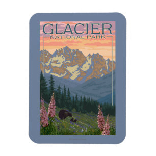 Frühlings-Blumen - Gletscher-Nationalpark, M.Ü. Magnet
