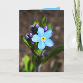 Frühlings-Blumen-Gruß-Karte Karte