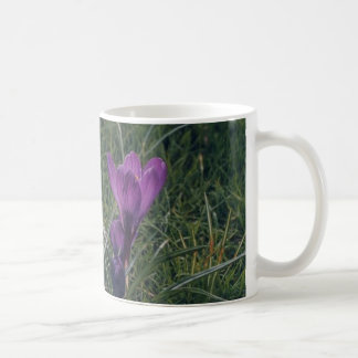 Frühlings-Blumen Kaffeetasse