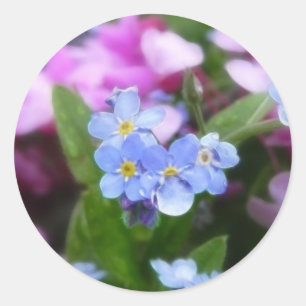 Frühlings-Blumen - Vergissmeinnichte und Redbuds Runder Aufkleber