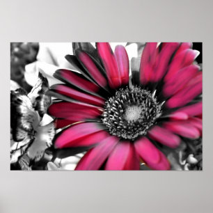 Frühlings-Blumenstrauß in Schwarzem u. im Weiß Poster