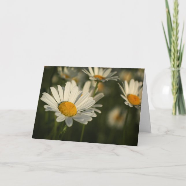 Frühlings-Blüte Karte (Vorderseite)