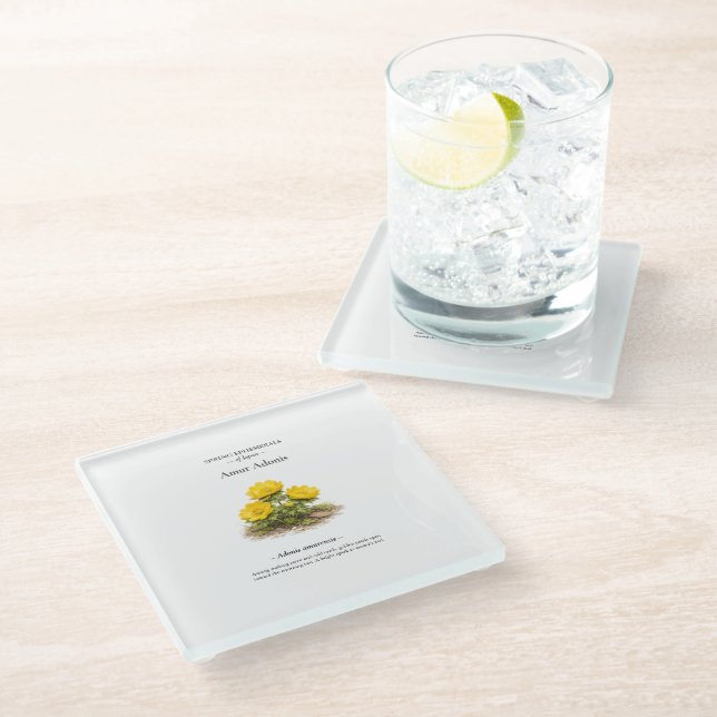 Frühlings-Ephemere Japans – Amur-Adonis Glasuntersetzer (Schrägansicht)