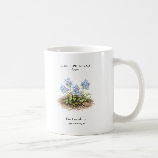 Frühlings-Ephemeriden Japans – Ezo Corydalis Kaffeetasse (Rechts)
