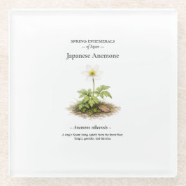 Frühlings-Ephemeriden Japans – Japanische Anemone Glasuntersetzer