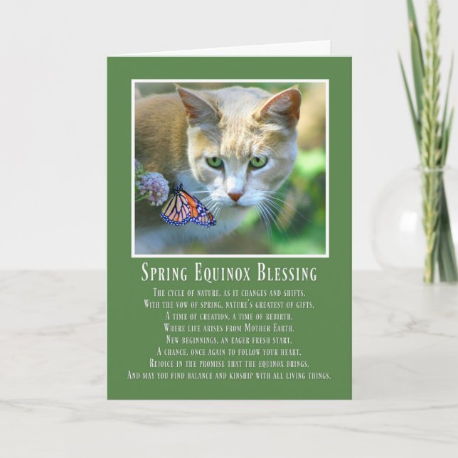 Frühlings-Equinox-Ostara-Katze und Schmetterling Karte (Vorderseite)