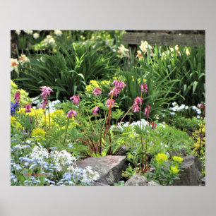 Frühlings-Garten-mehrjährige Pflanzen Poster