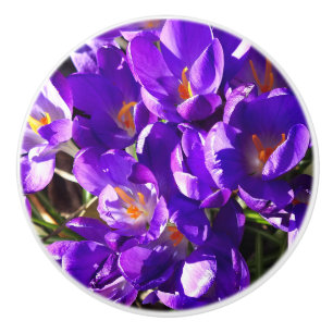 FRÜHLINGS-KROKUS KERAMIKKNAUF