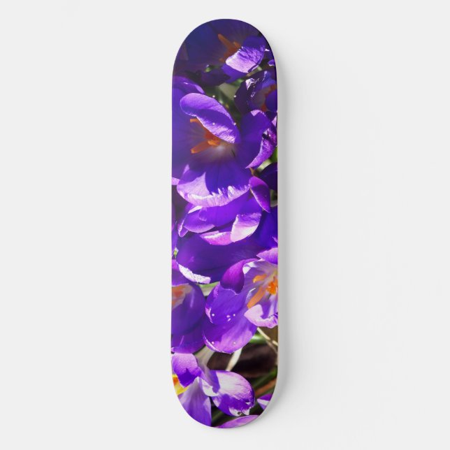 FRÜHLINGS-KROKUS SKATEBOARD (Vorderseite)