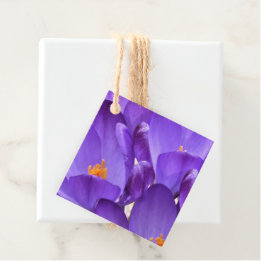 Frühlings-Krokusblumen Geschenkanhänger