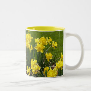 Frühlings-Narzissen-Tasse Zweifarbige Tasse