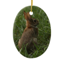Frühlings-/Ostern-Verzierung: Kaninchen und Küken