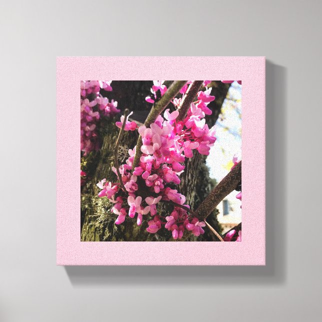 Frühlings-Rosa-Blume Leinwanddruck (Vorderseite)