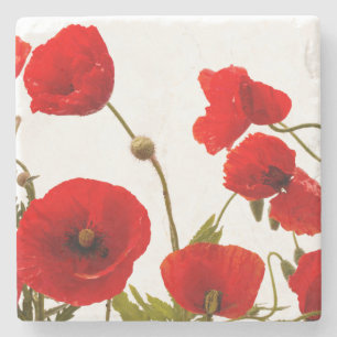 Frühlings-rote Mohnblumen-Blumen-weißes Trendy m Steinuntersetzer