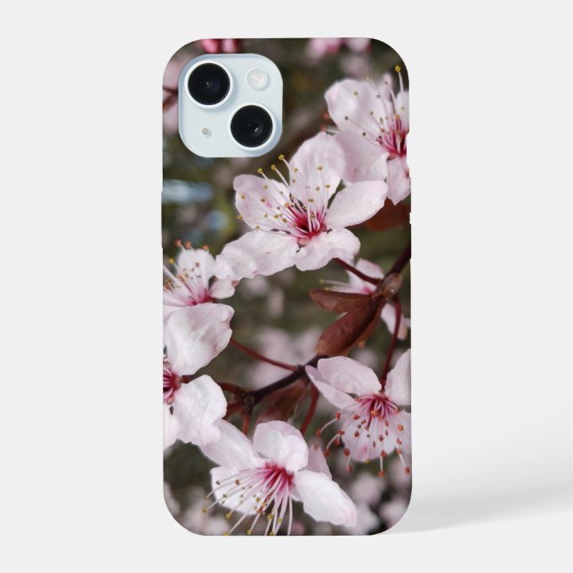 Frühlings-Sakura iPhone 15 Hülle (Rückseite)