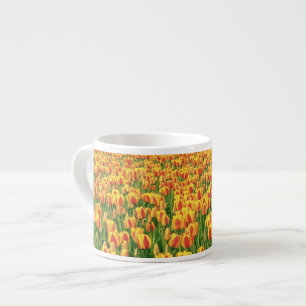 Frühlings-Tulpen blühen vor einer alten Scheune. Espressotasse
