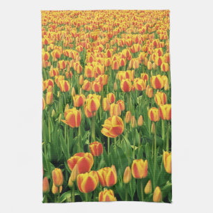 Frühlings-Tulpen blühen vor einer alten Scheune. Küchentuch