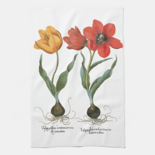 Frühlings-Tulpen-Blumen von Basilius Besler Geschirrtuch