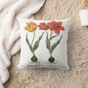 Frühlings-Tulpen-Blumen von Basilius Besler Kissen