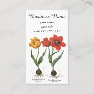 Frühlings-Tulpen-Blumen von Basilius Besler Visitenkarte