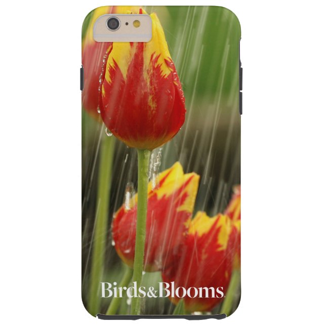 Frühlings-Tulpen Case-Mate iPhone Hülle (Rückseite)