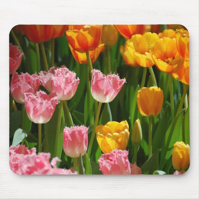 Frühlings-Tulpen Mousepad (Vorne)