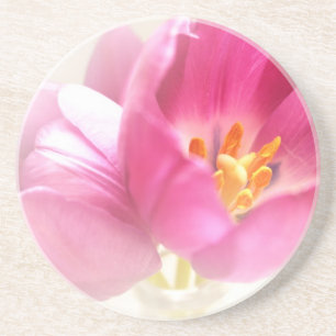 Frühlings-Tulpen-Sandstein-Setsteller Getränkeuntersetzer
