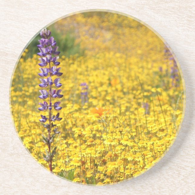 Frühlings-Untersetzer Getränkeuntersetzer (Vorne)